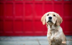 思俊外科静脉曲张专科治疗团队是张强医生集团吗 哪里治疗腿部静脉曲张