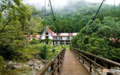 转氨酶升高需要注意什么 前列腺增生可以跑步吗