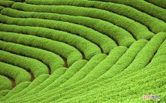 简单方法有哪些 用什么才能让脸美白