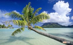 经常多梦是什么原因 多梦是阴虚还是阳虚