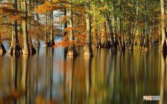 TNT霸气文案 2021超拽霸气句子