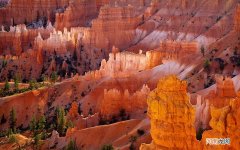 少年儿童患2型糖尿病的为啥越来越多了 2型糖尿病最新进展