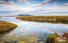 糖尿病肾衰竭怎么办 糖尿病引起的肾病吃什么药好