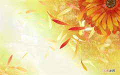 西安有哪些适合情侣住的民宿 西安适合情侣逛的地方