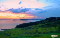 晚上容易失眠吃什么好 女性晚上适合吃什么温补