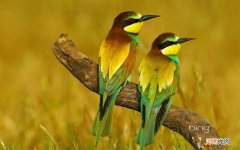 有痘痘的肌肤可以用牛奶敷脸吗 脸上长痘痘能喝纯牛奶吗