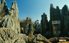 35岁去黄美白的护肤品 快速美白去黄的方法