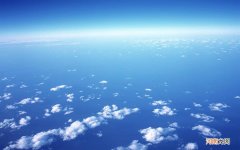 乳清蛋白和全脂奶粉哪种好 最好的中老年蛋白质粉排名